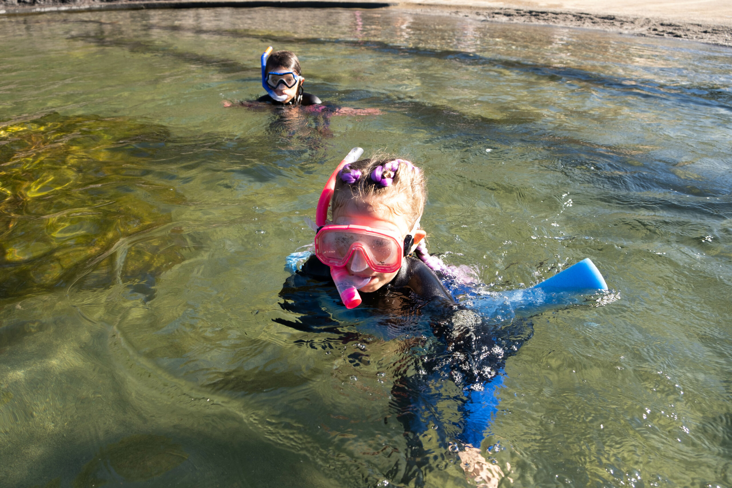 Zebra Shark Snorkel $60 packaged with Entry Pass (aged 6+)