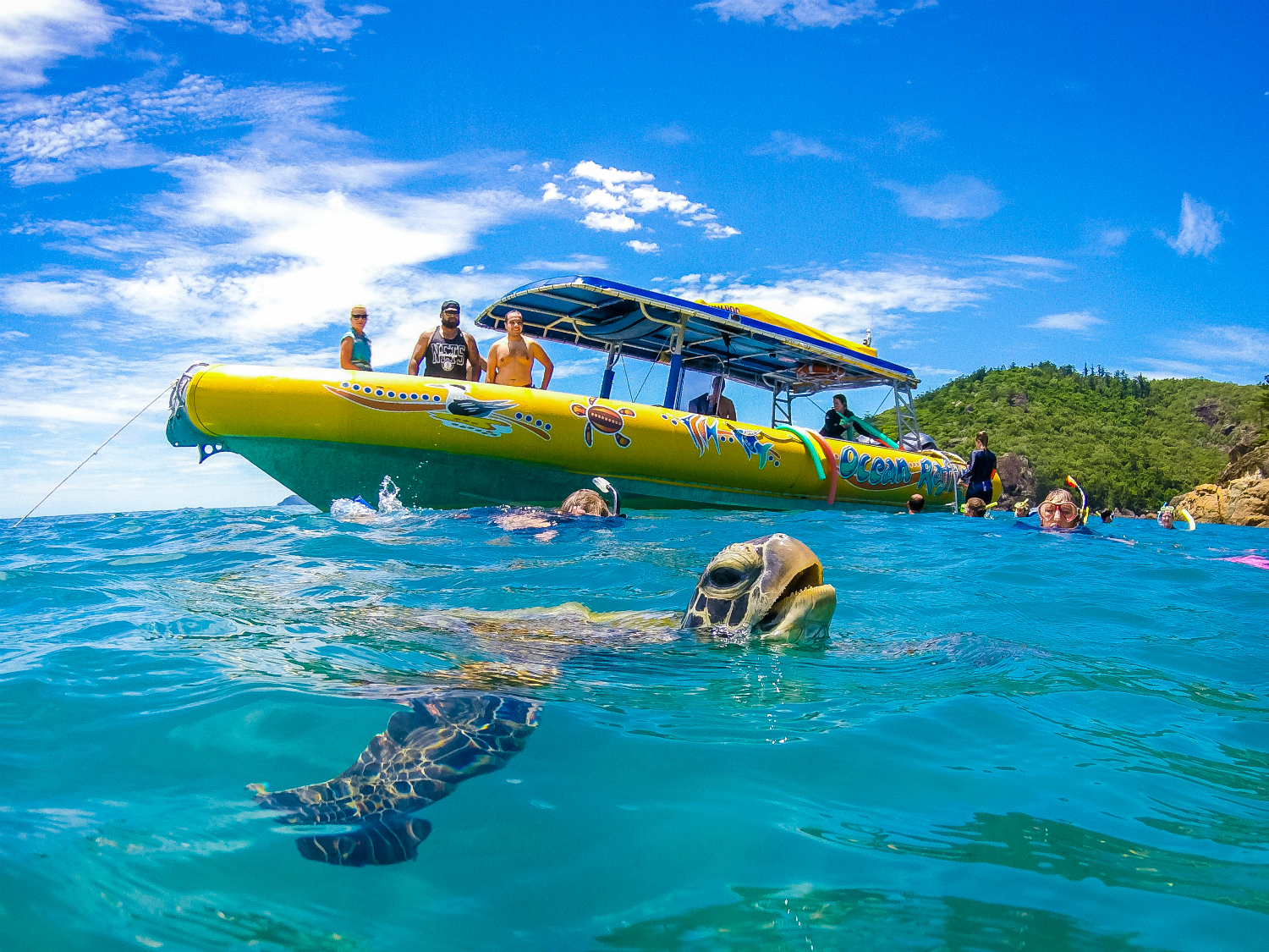 Daydream Island Northern Exposure tour