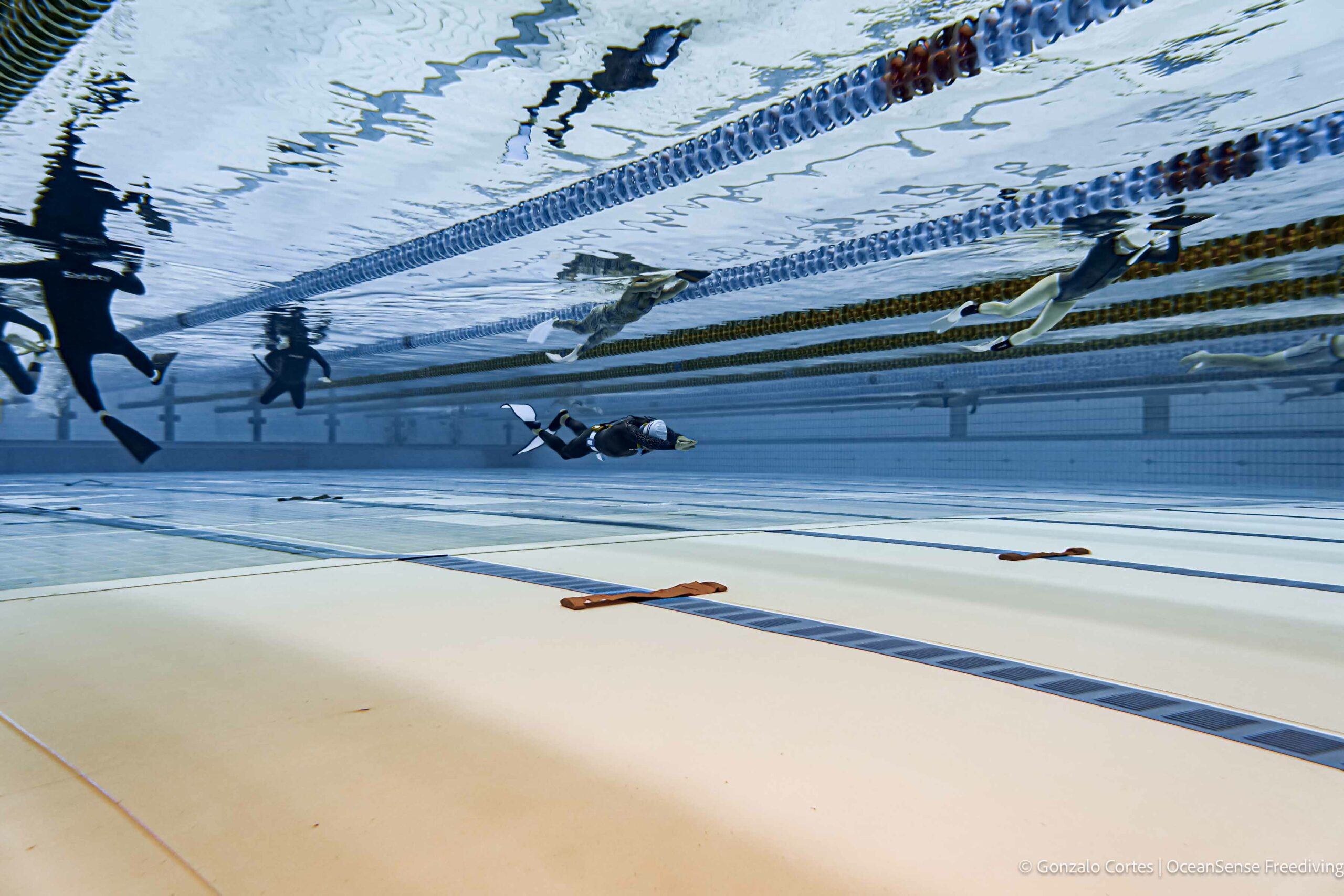 Basic Freediver Course – Brisbane