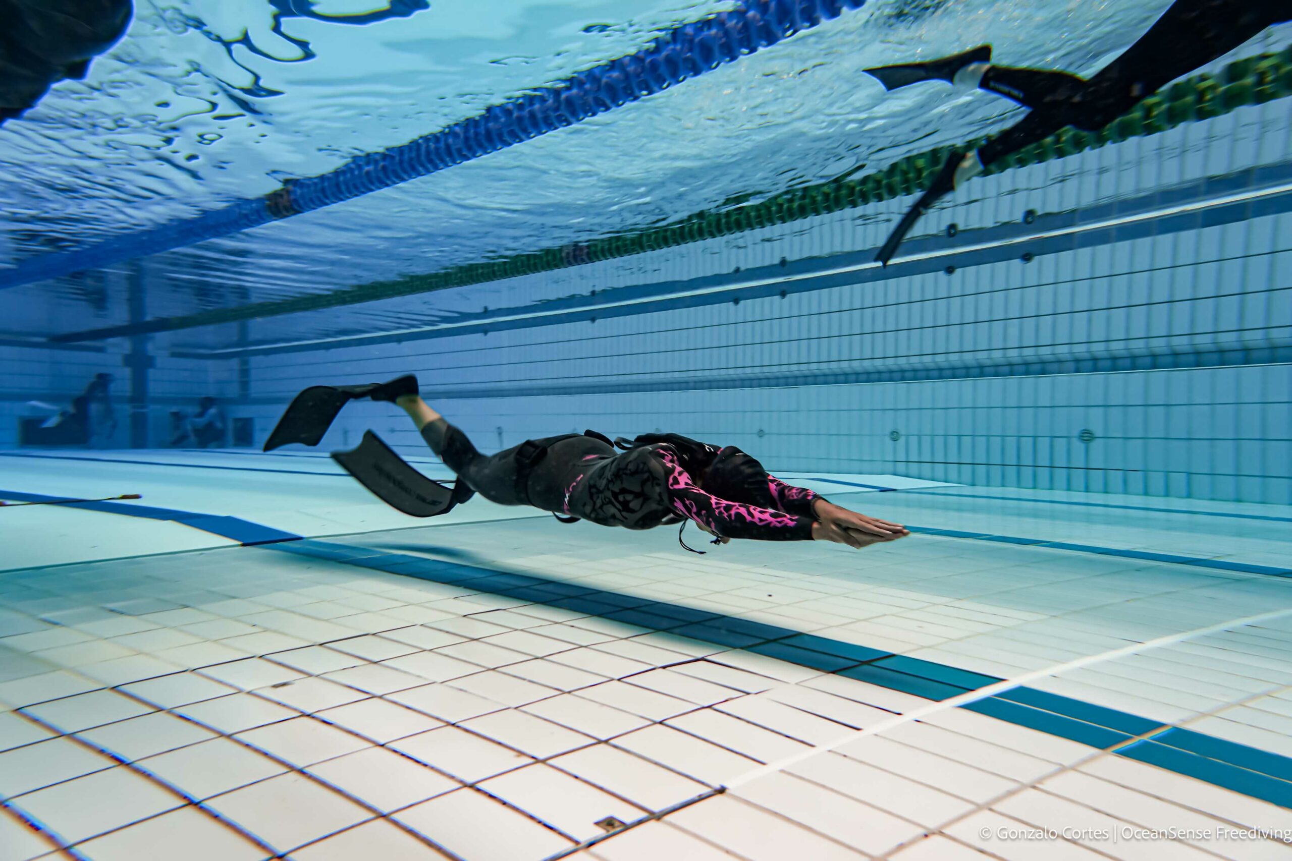 Basic Freediver Course – Gold Coast
