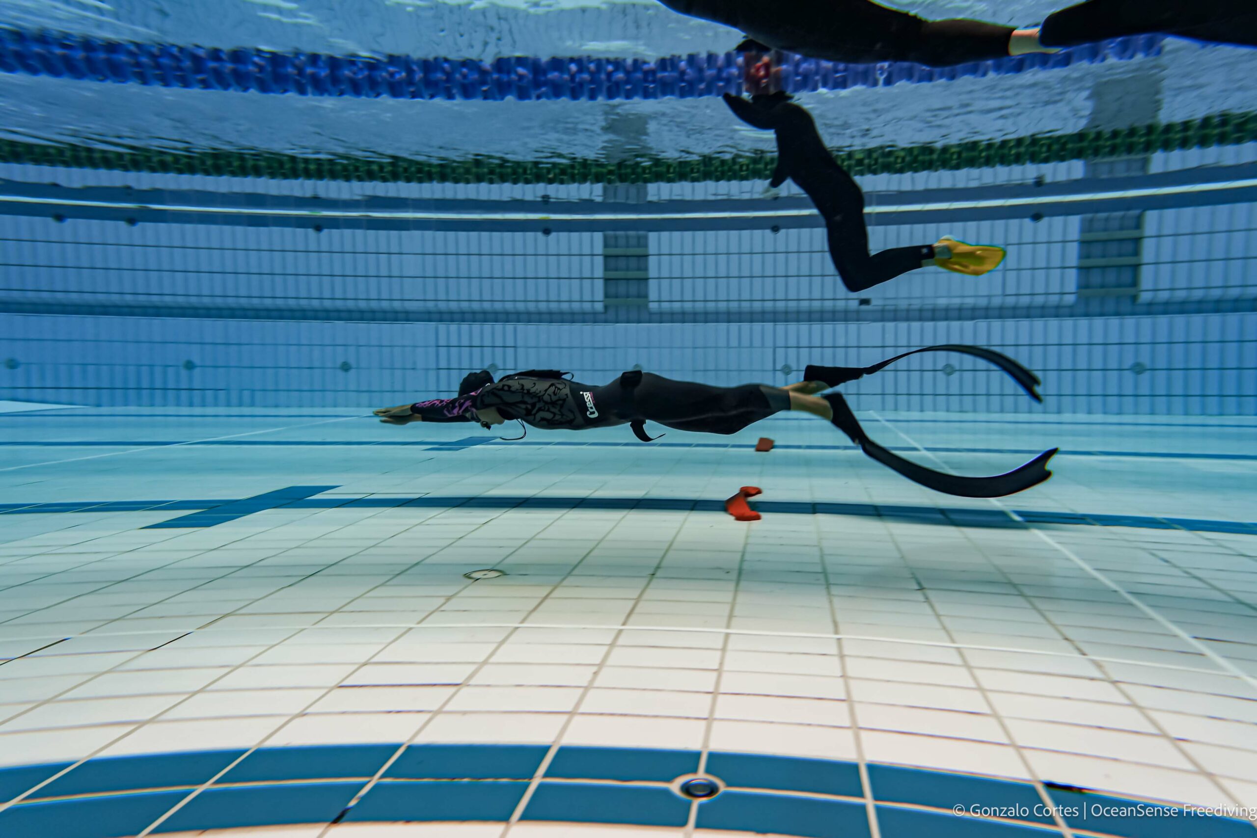 Basic Freediver Course – Mooloolaba