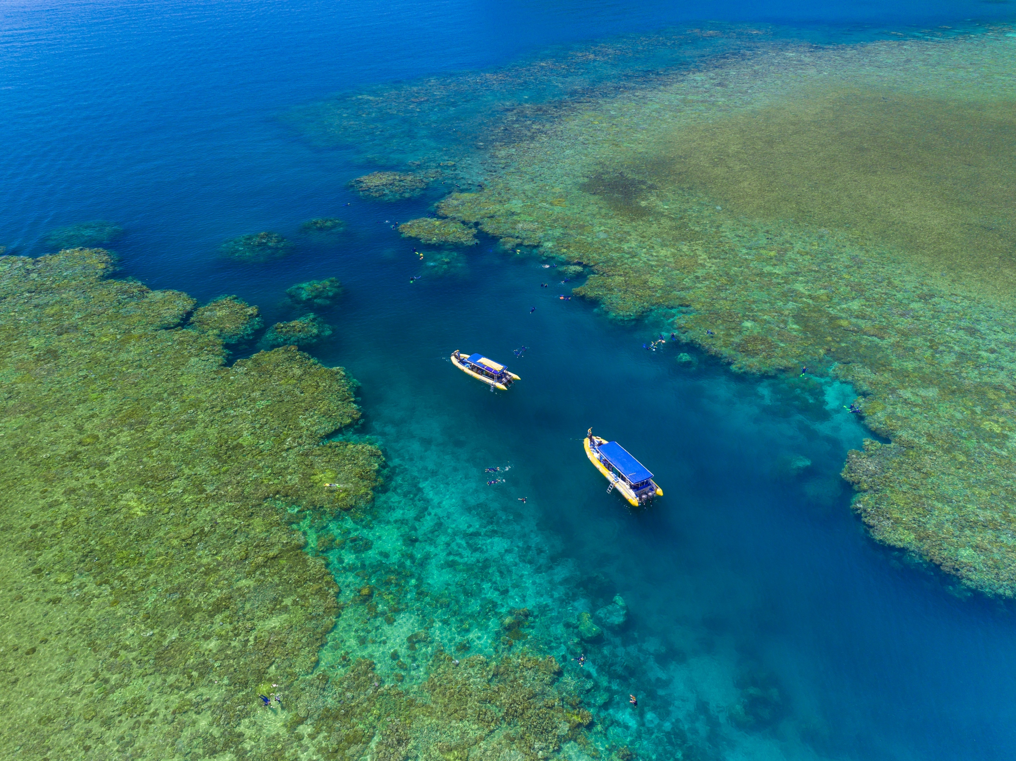 Daydream Island Northern Exposure tour