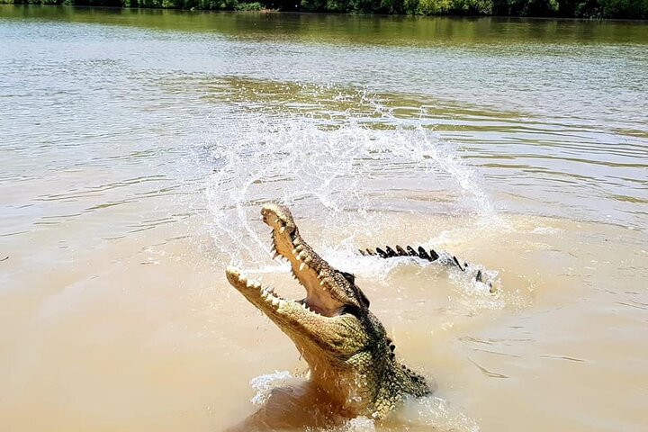 Jumping Crocodile Experience