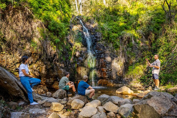 Waterfall Gully to Mt Lofty Guided Hike