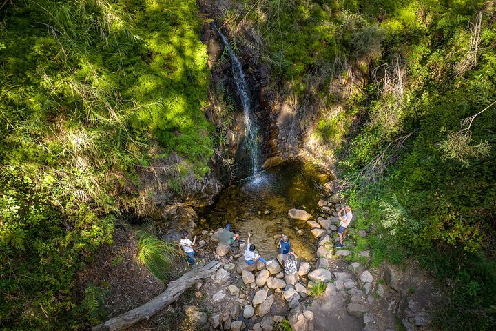 Waterfall Gully to Mt Lofty Guided Hike