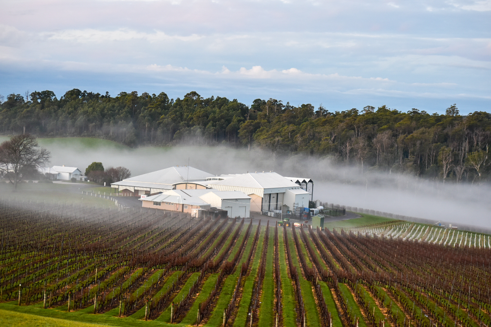 Tasmania En Croute / Arras Masterclass Package