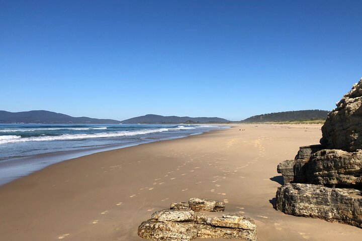 Bruny Island Active Day Tour