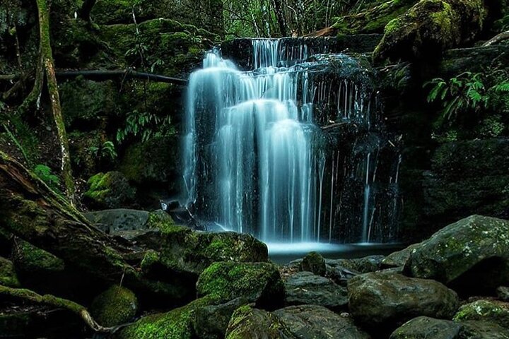 4-Day Private Tasmania Wilderness and Whiskey walks.