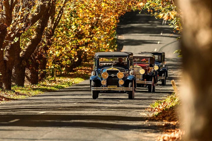 1929 Vintage Cadillac LaSalle tour in the Upper Blue Mountain.2 hour experience.