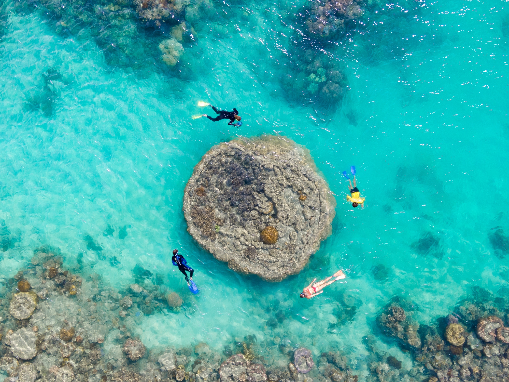 Daydream Island Northern Exposure tour