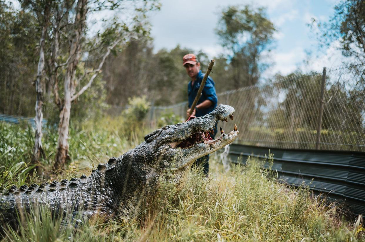 Top End Safari Camp Day Tour