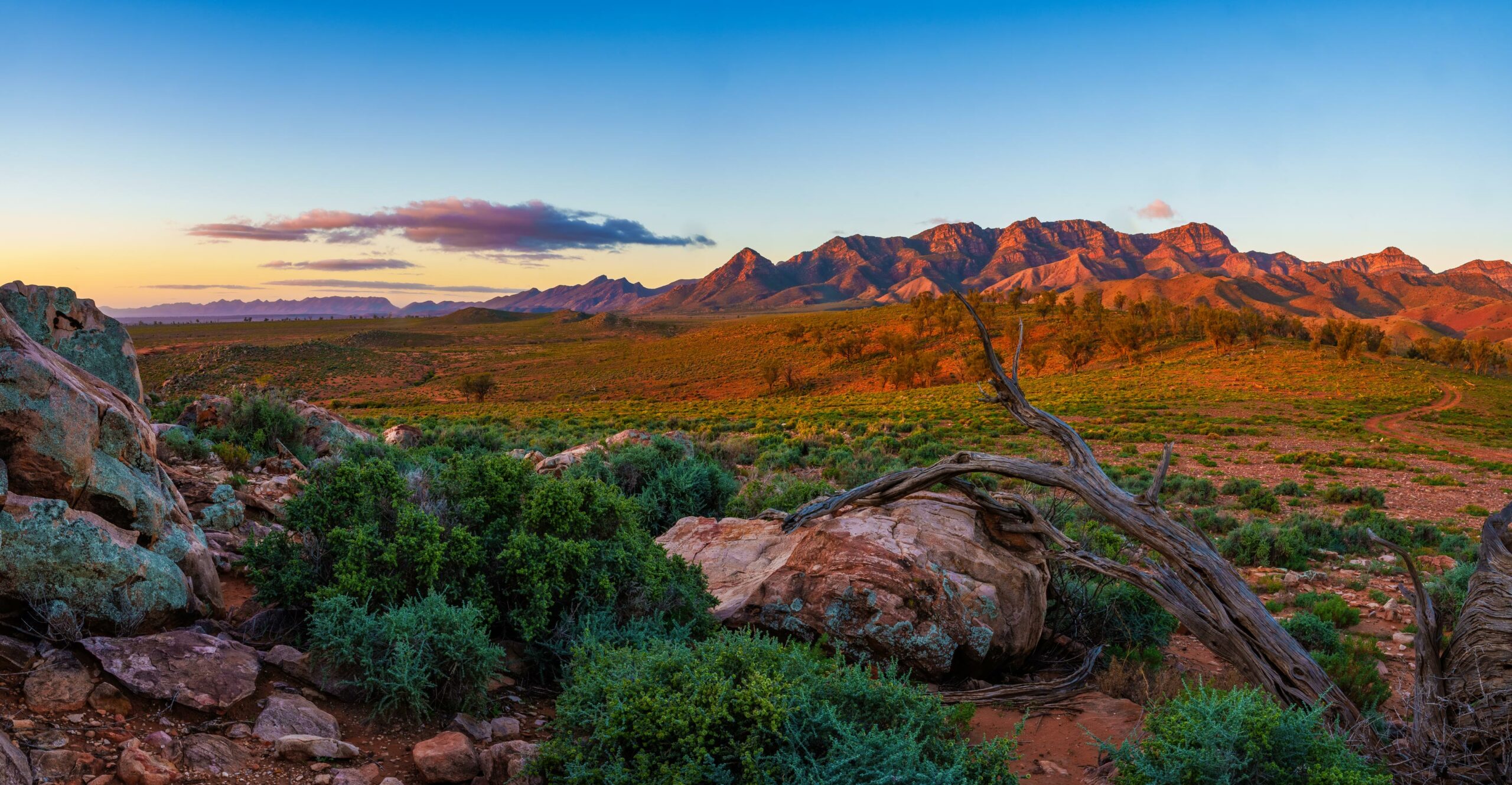 Flinders Ranges Photography Tour