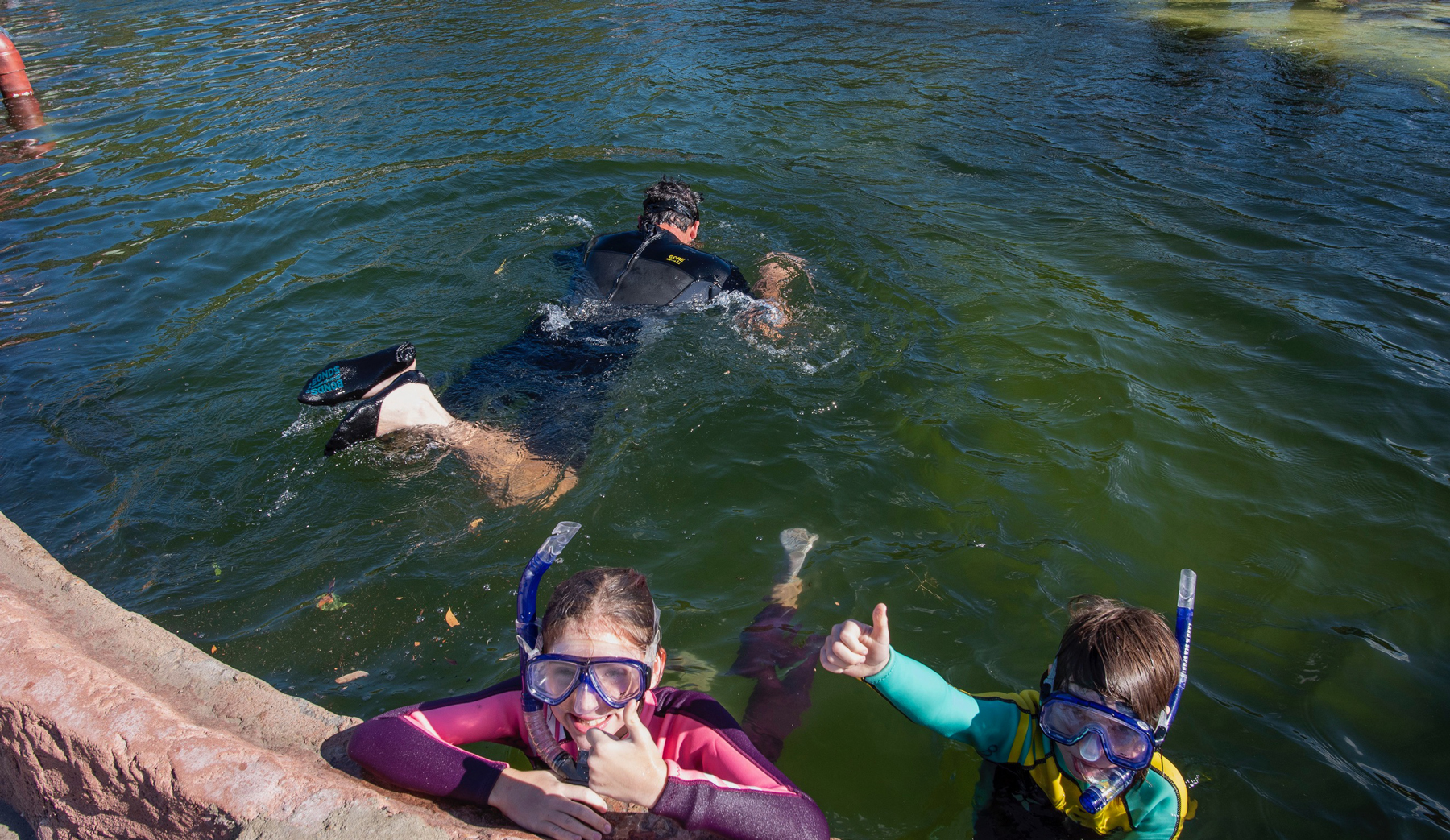 Stingray Snorkel $60 packaged with Entry Pass (aged 12+)