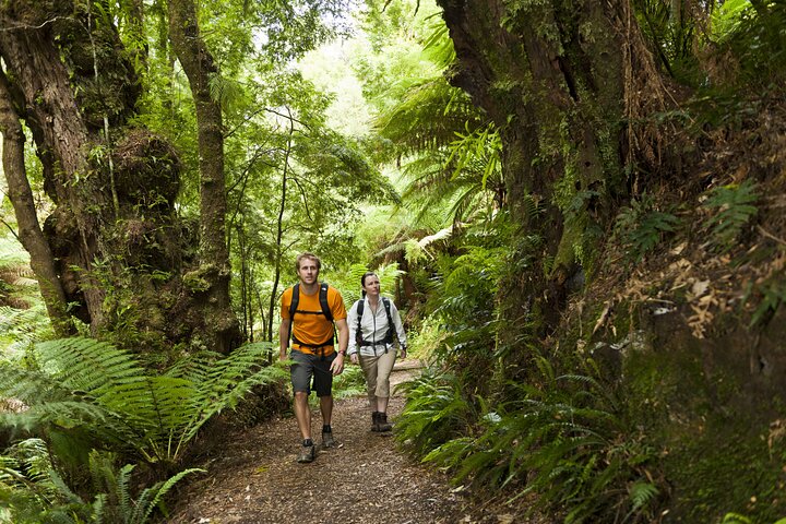 Great Ocean Walk Highlights- 4 Day 'Pack Free' Hiking Tour