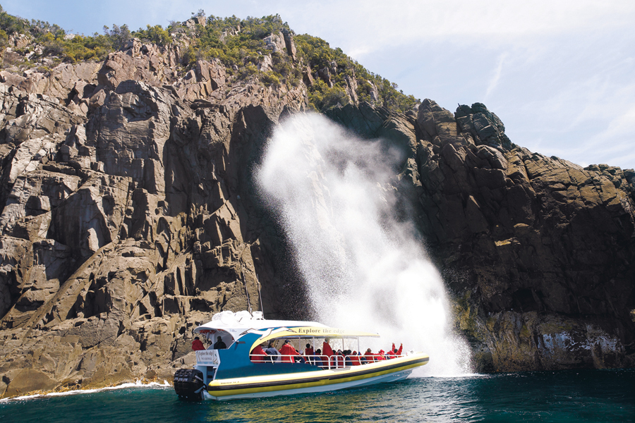 Bruny Island Cruises 3 Hour Wilderness Cruise