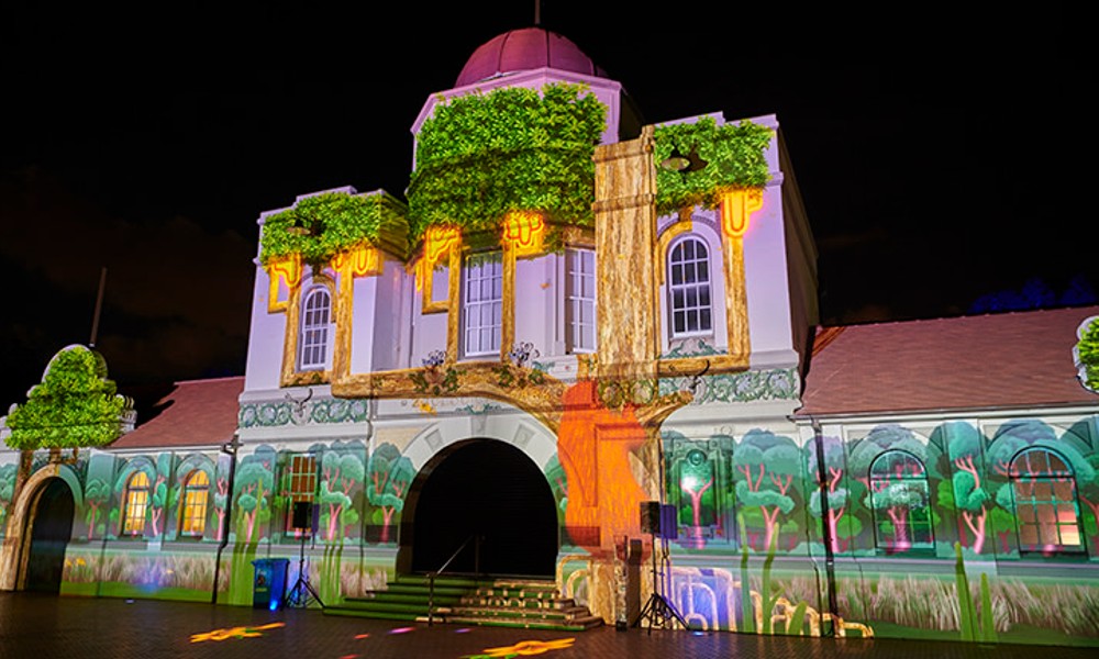 Vivid Wild Lights at Taronga Zoo - 2 Hours