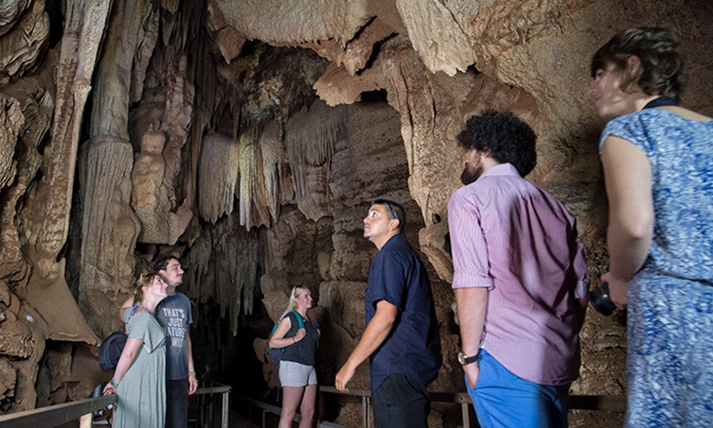 Cutta Cutta Caves Guided Walking Tour – 1 Hour
