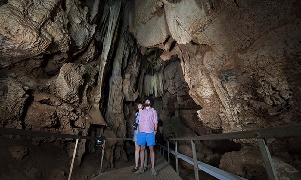 Cutta Cutta Caves Guided Walking Tour - 1 Hour