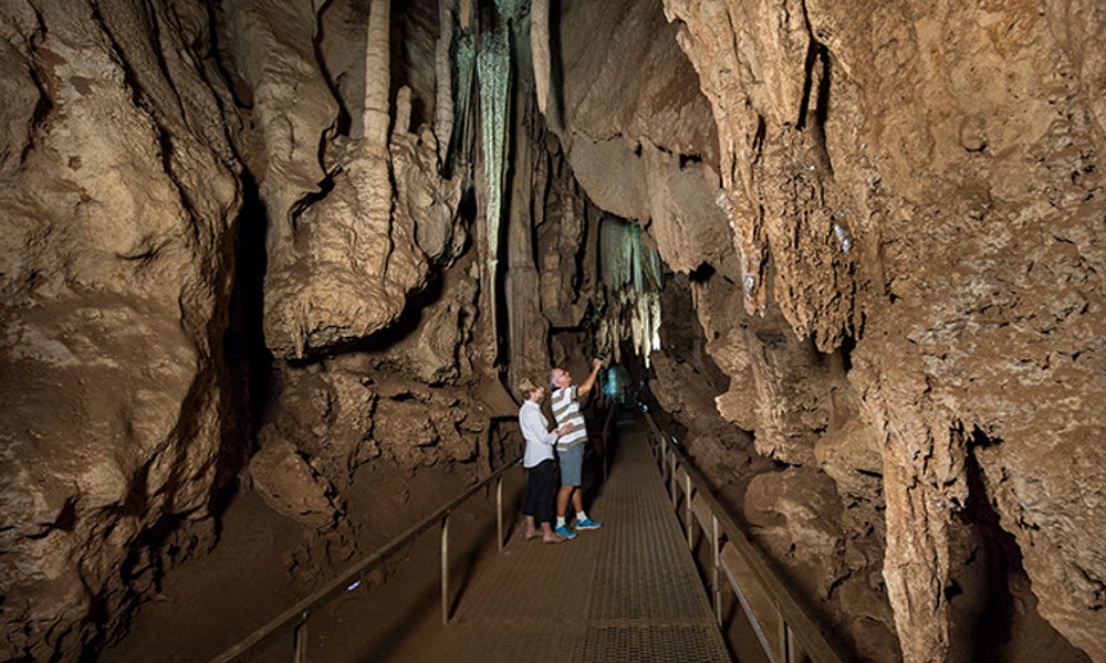 Cutta Cutta Caves Guided Walking Tour - 1 Hour