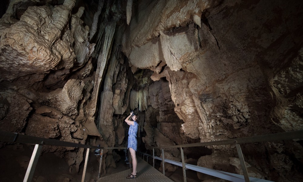 Cutta Cutta Caves Guided Walking Tour - 1 Hour