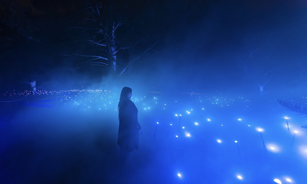 Light Cycles