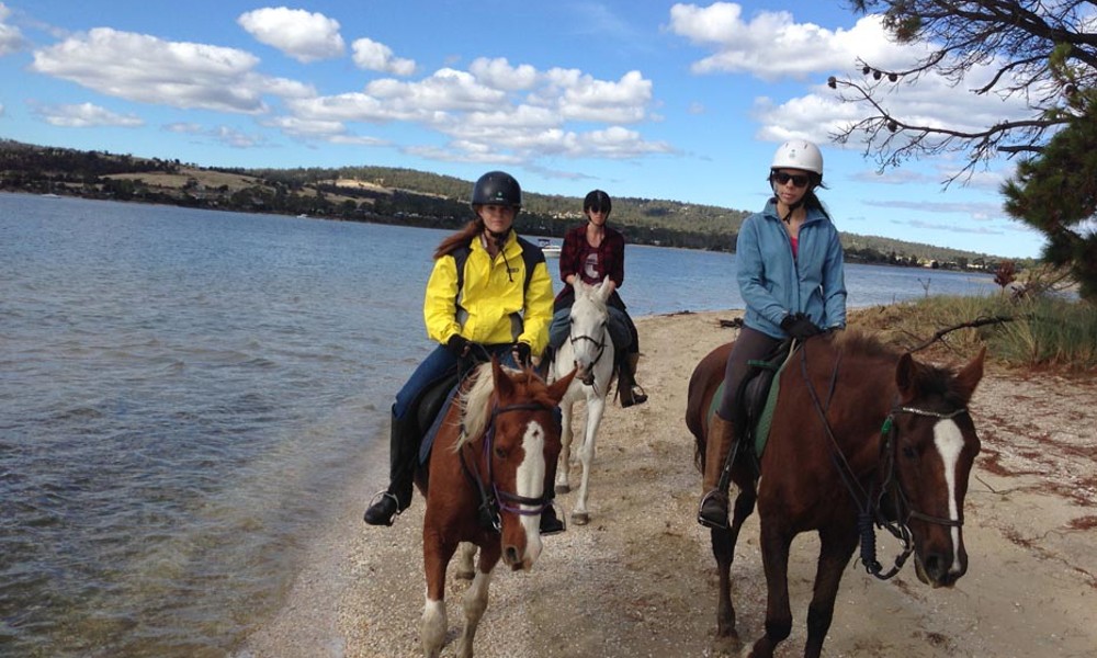 Beach Horse Ride on 7 Mile Beach - 60 Minutes