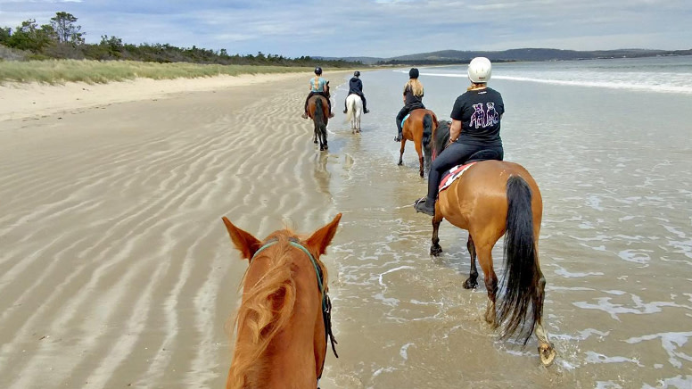 Beach Horse Ride on 7 Mile Beach - 60 Minutes