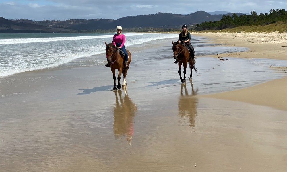 Beach Horse Ride on 7 Mile Beach - 60 Minutes