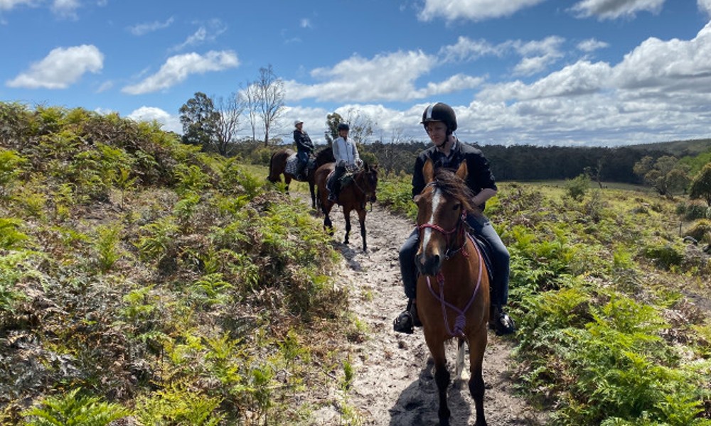 Three Thumbs Bush Horse Ride - 60 Minutes