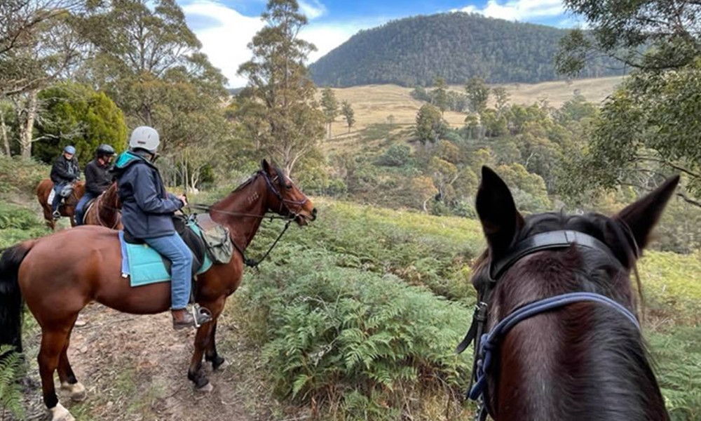 Three Thumbs Bush Horse Ride - 60 Minutes