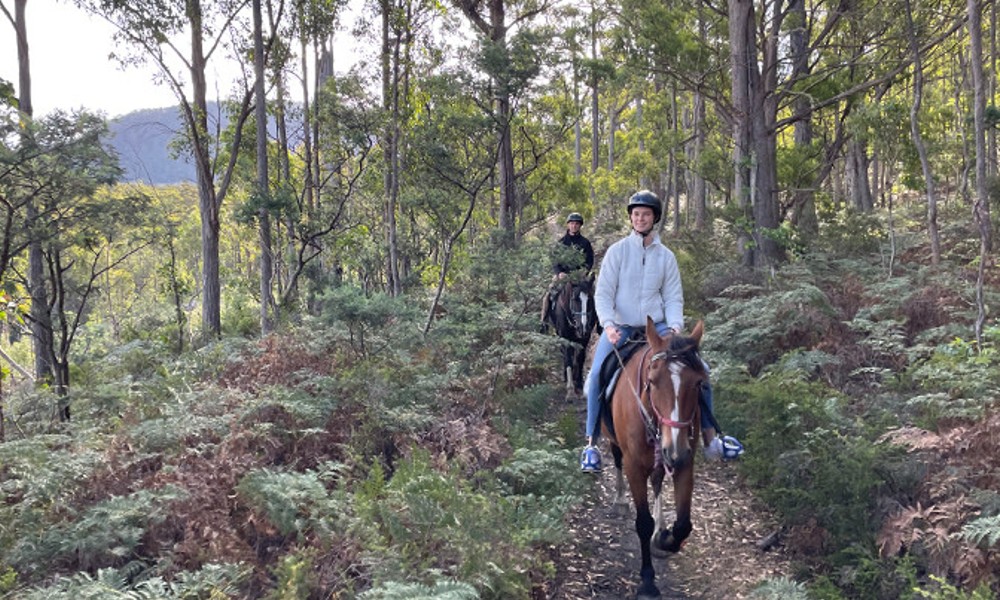 Bush Rangers Track Horse Ride – 2 Hours