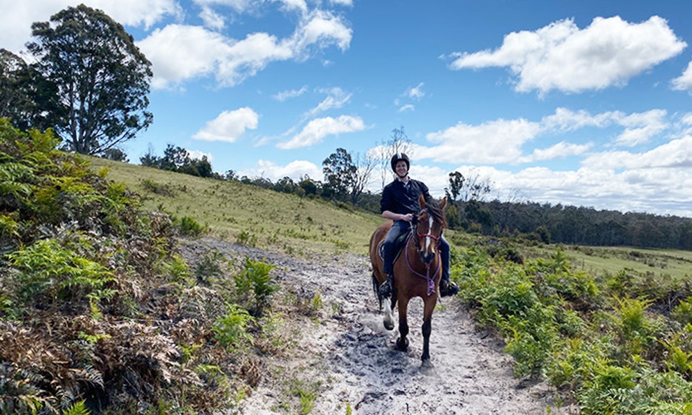 Bush Rangers Track Horse Ride - 2 Hours