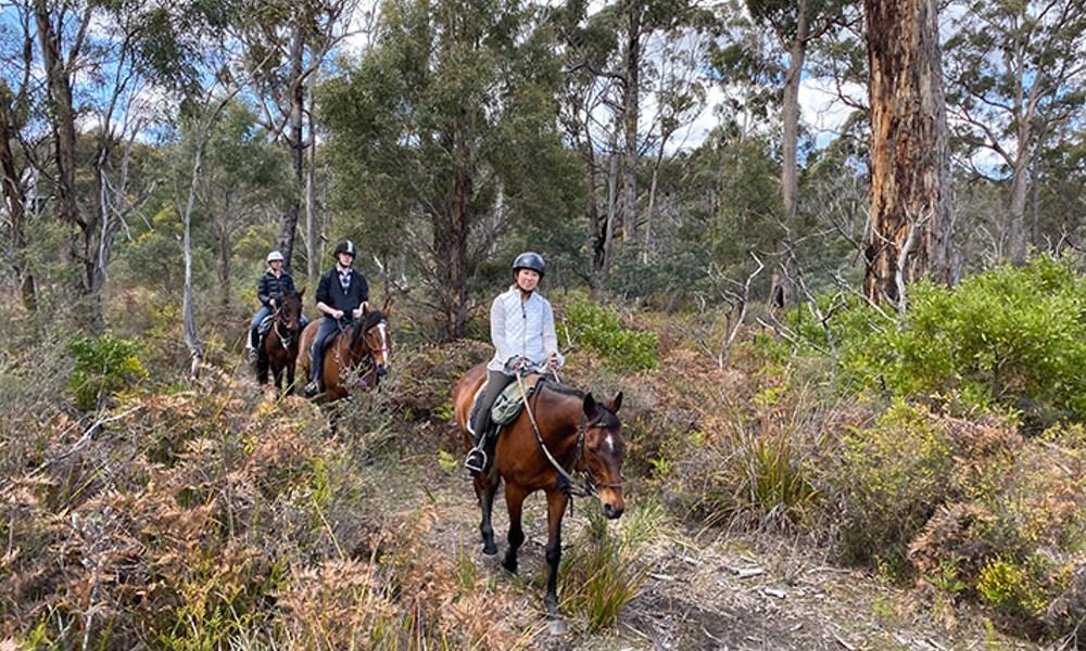 Bush Rangers Track Horse Ride - 2 Hours