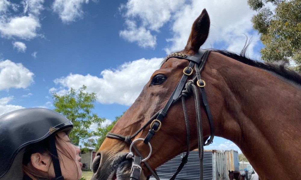 Bush Rangers Track Horse Ride - 2 Hours