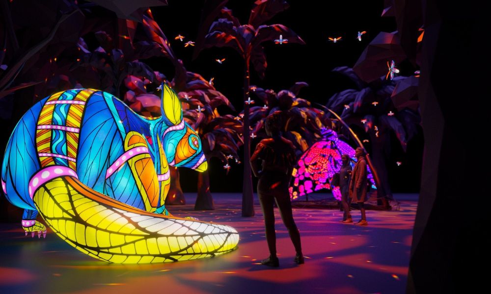 Vivid Wild Lights at Taronga Zoo - 2 Hours