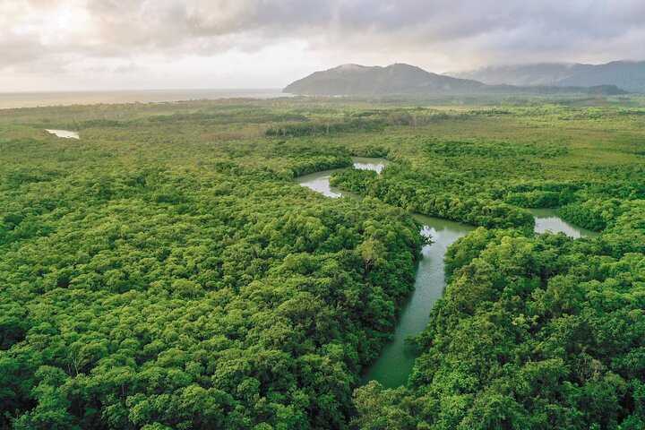 Amazing Daintree Waterfall Hike, Lunch, Swim and Crocodile Spotting Cruise