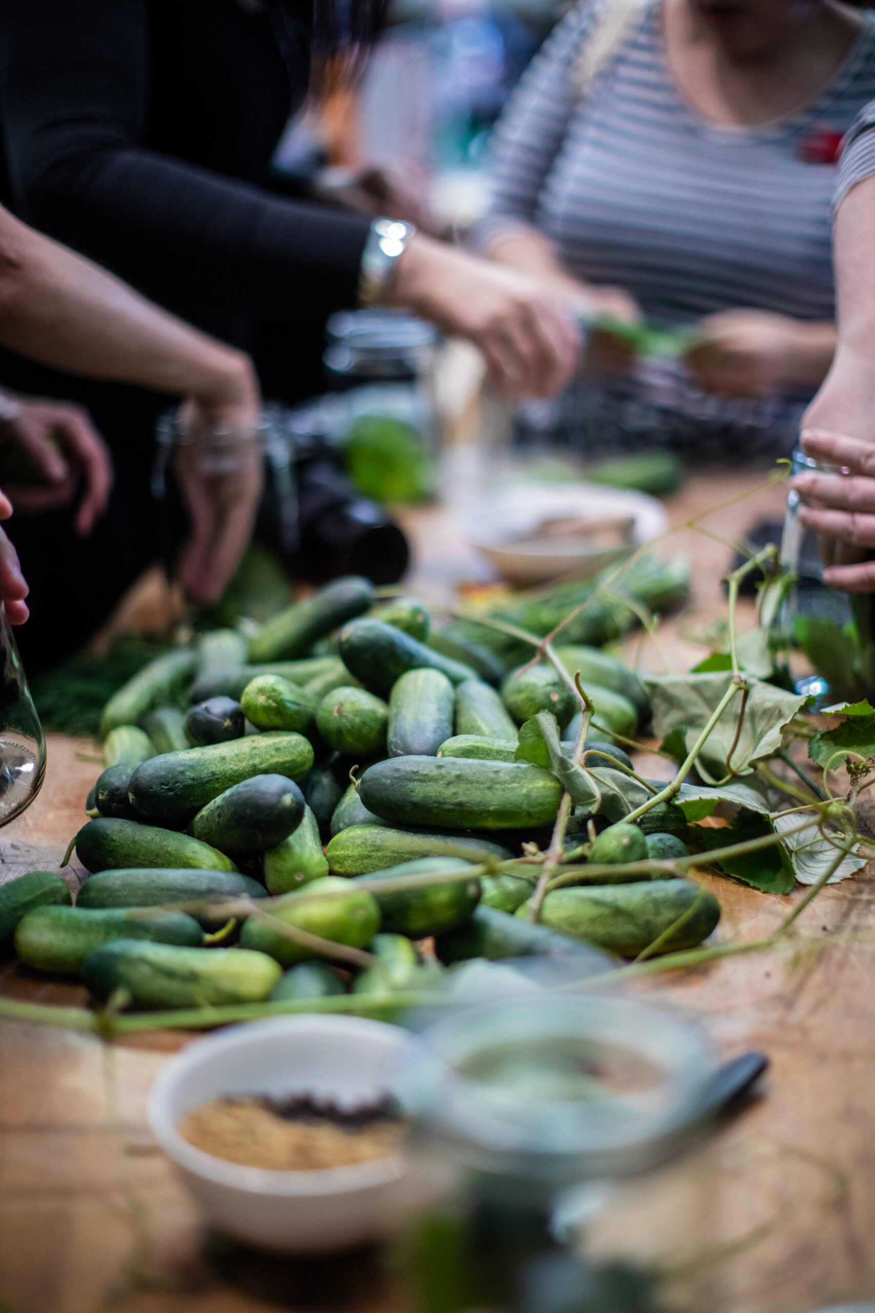 Sauerkraut, Wild Fermented Pickles and Kimchi – a Vegie fermentation 101