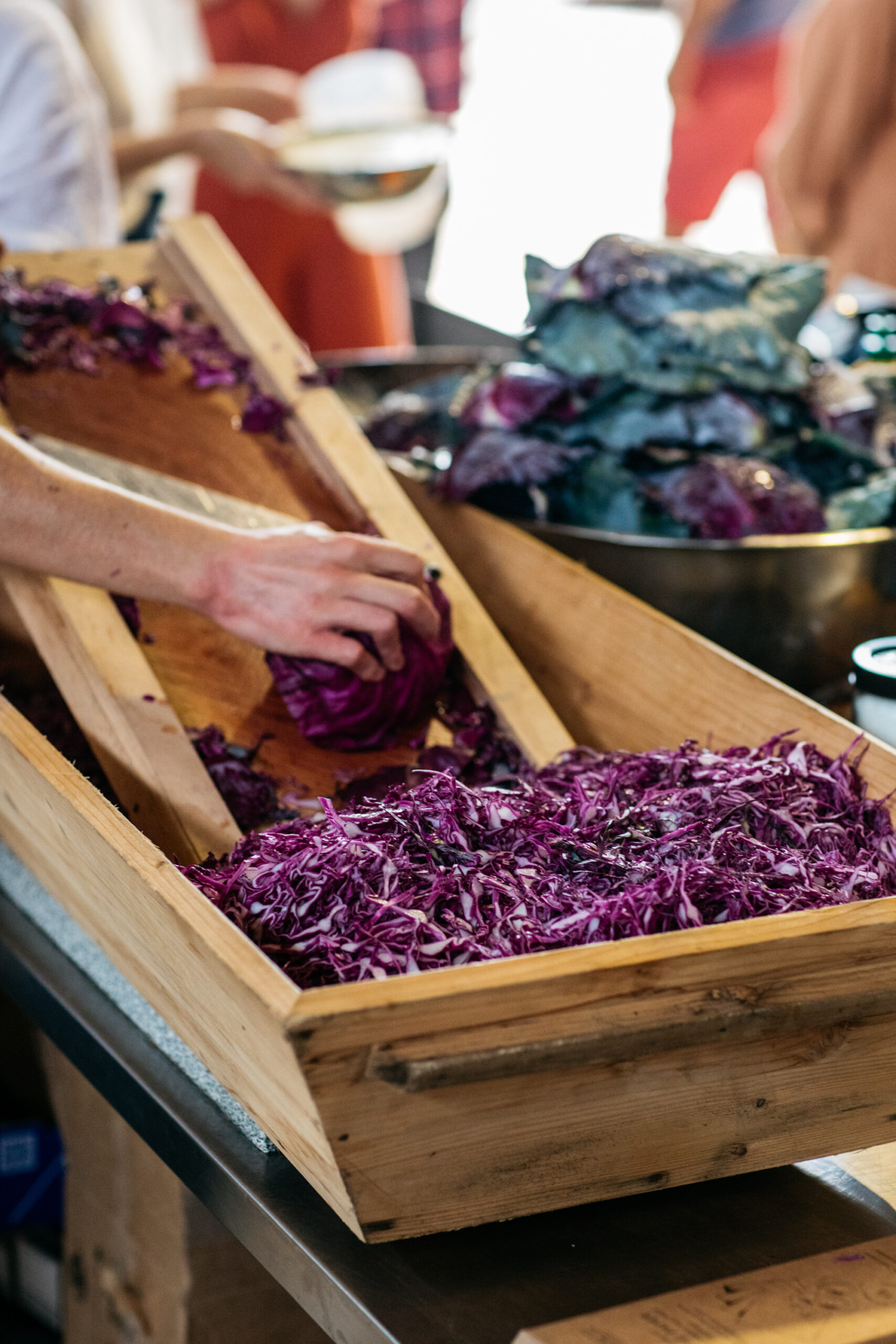 Sauerkraut, Wild Fermented Pickles and Kimchi - a Vegie fermentation 101