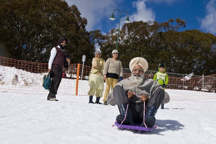 Full-Day Mount Buller Guided Tour