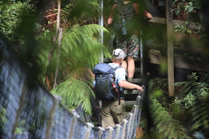 Tarkine Wilderness 5 Day 'Pack Free' Walking Tour