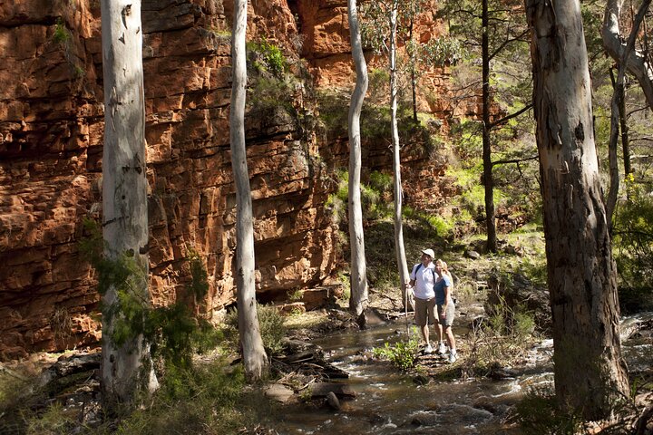 Flinders Ranges 5 Day 'Pack Free' Hiking Tour