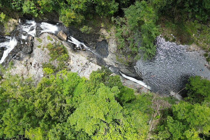 Amazing Daintree Rainforest Tour Waterfall Hike, Lunch, Swim & Crocodile Cruise