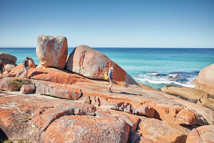 Bay of Fires - 4 Day Walking Tour