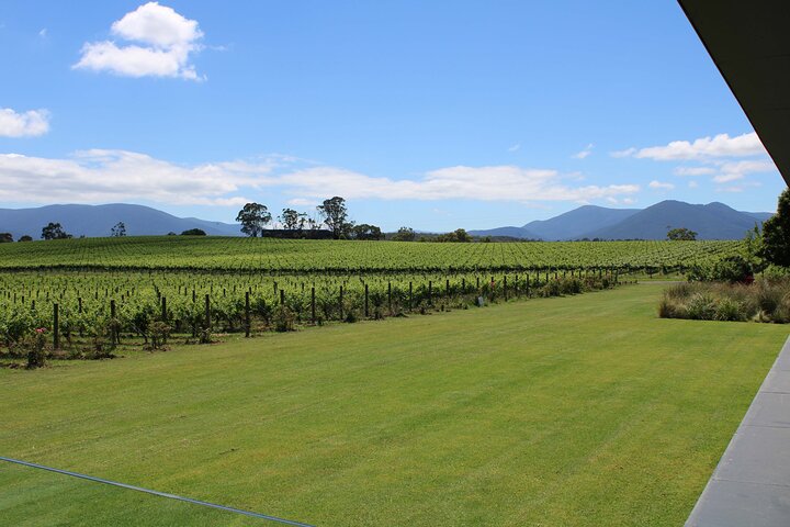 Private Wine Tour in Yarra Valley