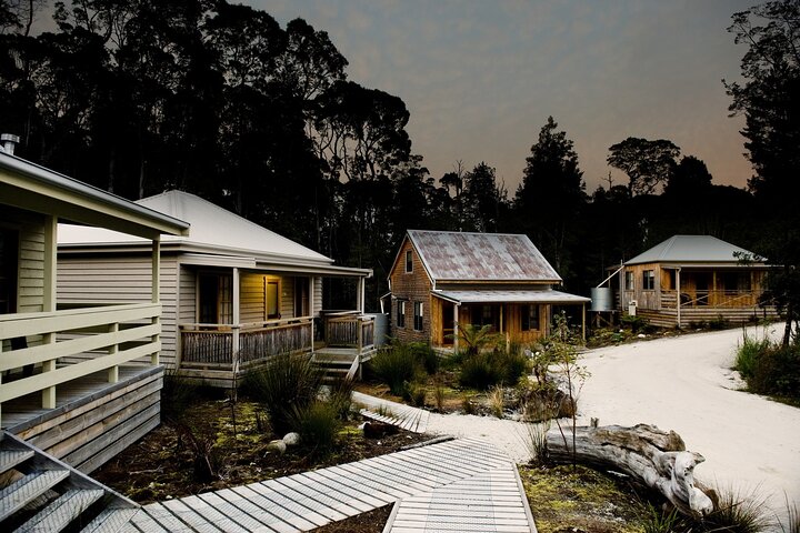 Tarkine Wilderness 5 Day 'Pack Free' Walking Tour