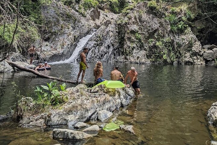 Amazing Daintree Rainforest Tour Waterfall Hike, Lunch, Swim & Crocodile Cruise