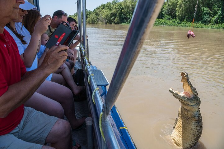 1 Hour Jumping Crocodile Cruise in Adelaide River