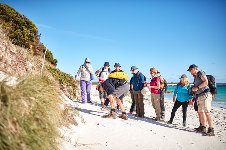 Bay of Fires - 4 Day Walking Tour