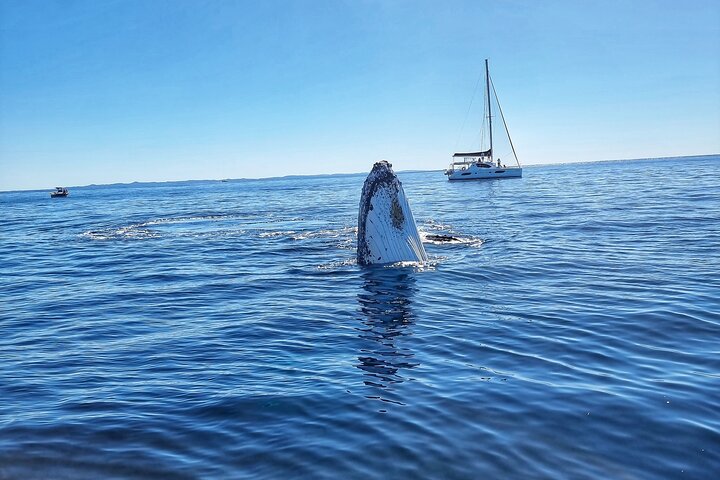 Bay of Fires - 4 Day Walking Tour