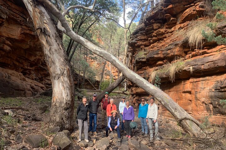 Ikara-Flinders Ranges Hiking Tour – 5 Days